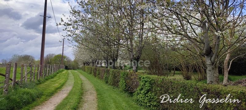 Maison - 131 m² - 6 pièces