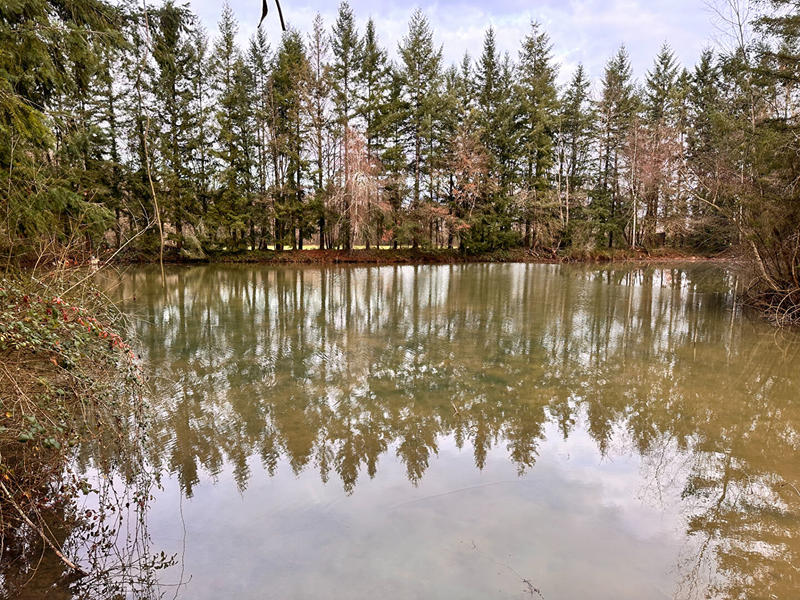 Terrain de loisirs - 23 143 m²