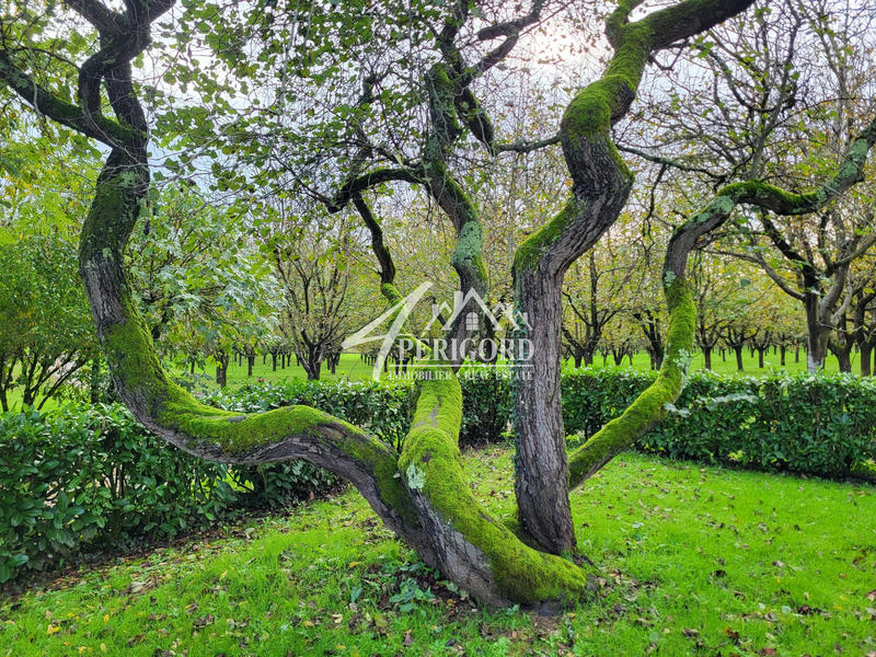 Maison - 270 m² - 10 pièces