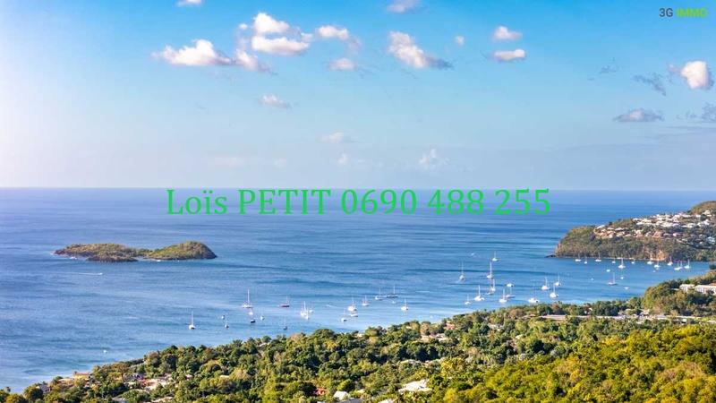 Maison - 367 m² - 11 pièces