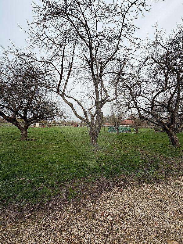 Longère - 85 m² - 4 pièces