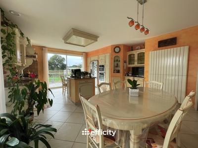 Maison - 252 m² - 8 pièces