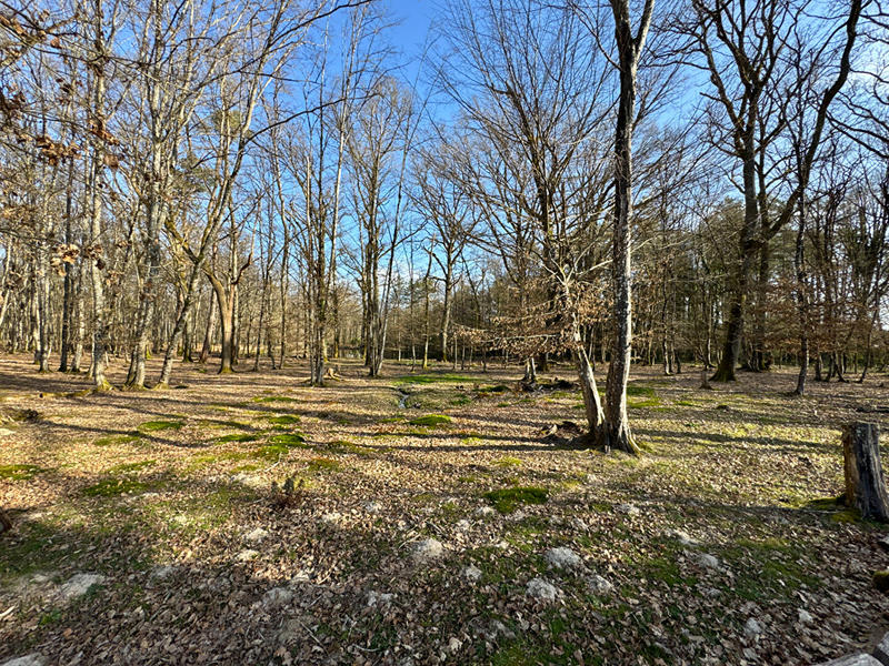 Maison - 200 m² - 7 pièces