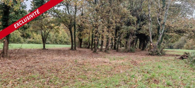Terrain constructible - 2 487 m²