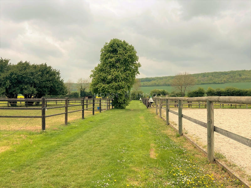 Maison - 330 m² - 10 pièces