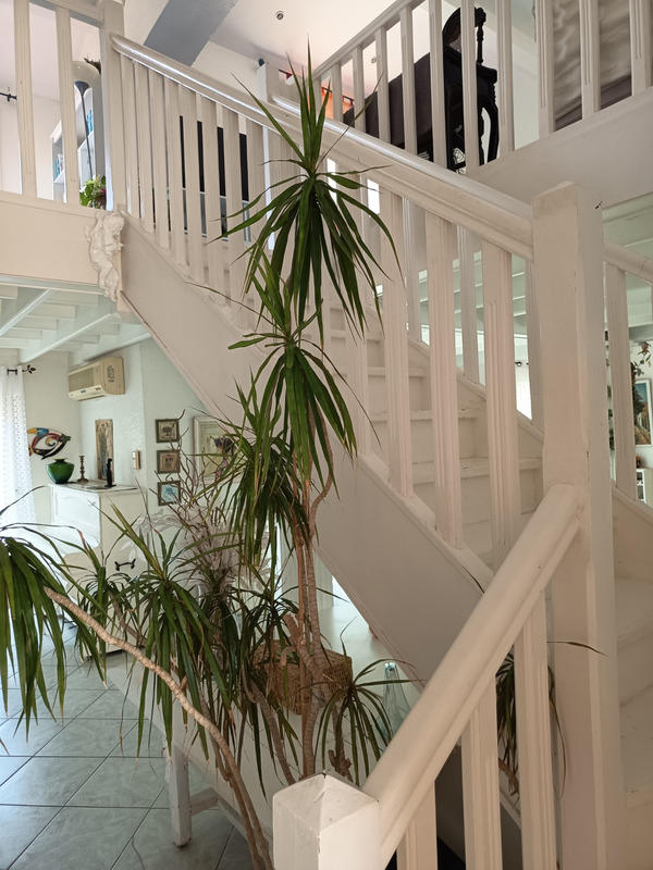 Maison - 266 m² - 7 pièces