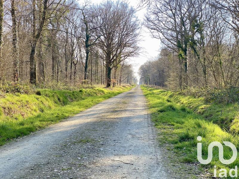 Maison - 67 m² - 2 pièces