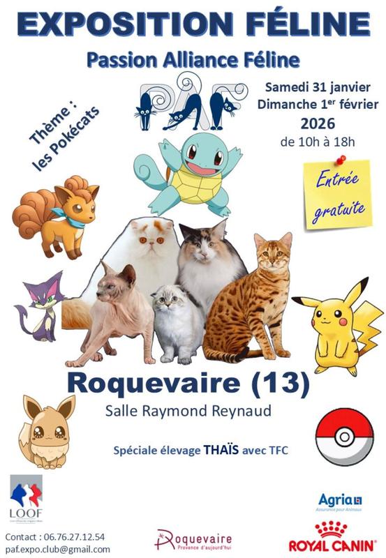 Salon du chat de race