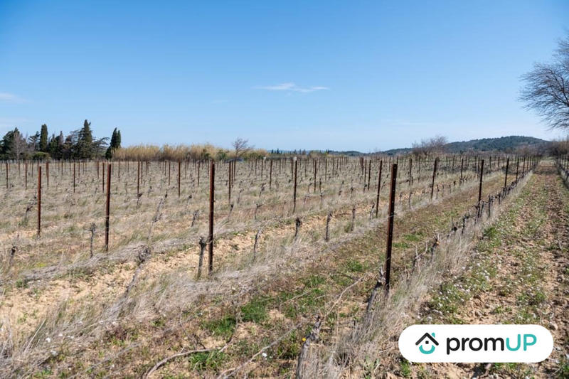 Terrain agricole - 41 115 m²