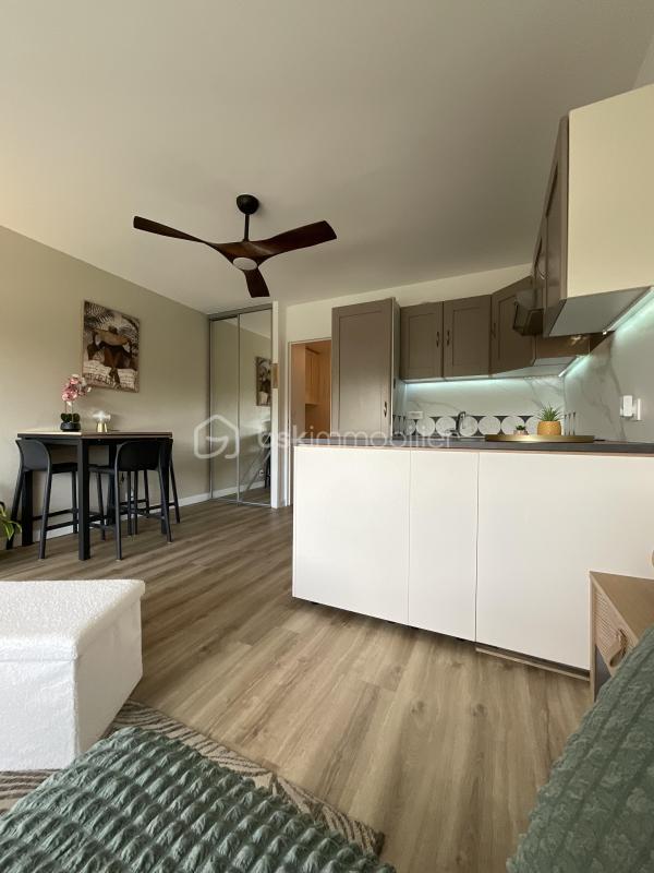 Studio - 24 m² - 1 pièce