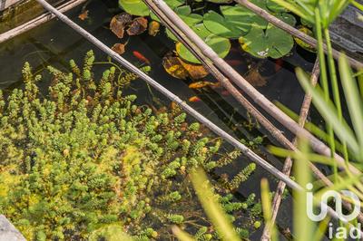 Maison - 164 m² - 7 pièces