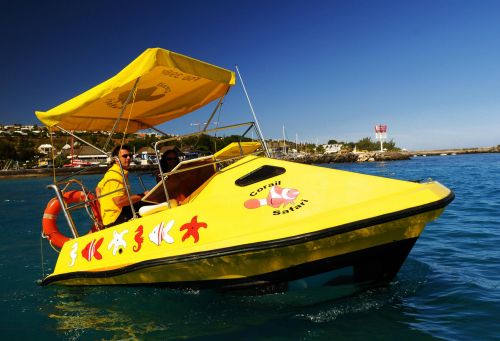 Le Grand Bleu - Dauphin Safari - Corail Safari - Cat'Ananas