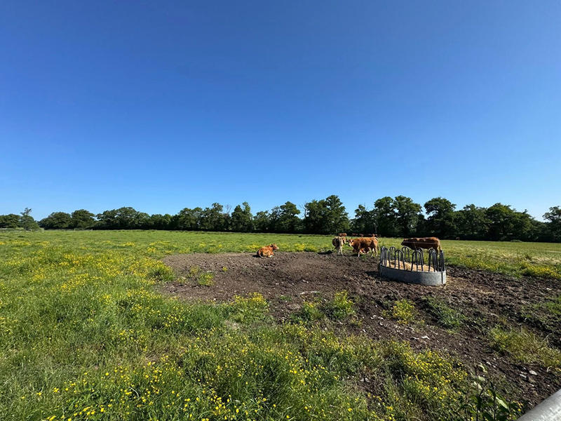 Maison - 240 m² - 8 pièces