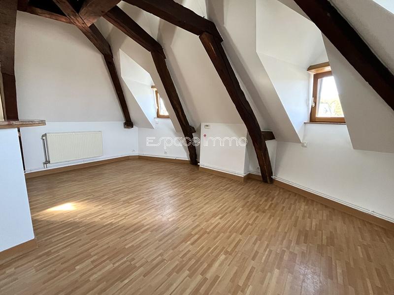 Loft - 40 m² - 1 pièce