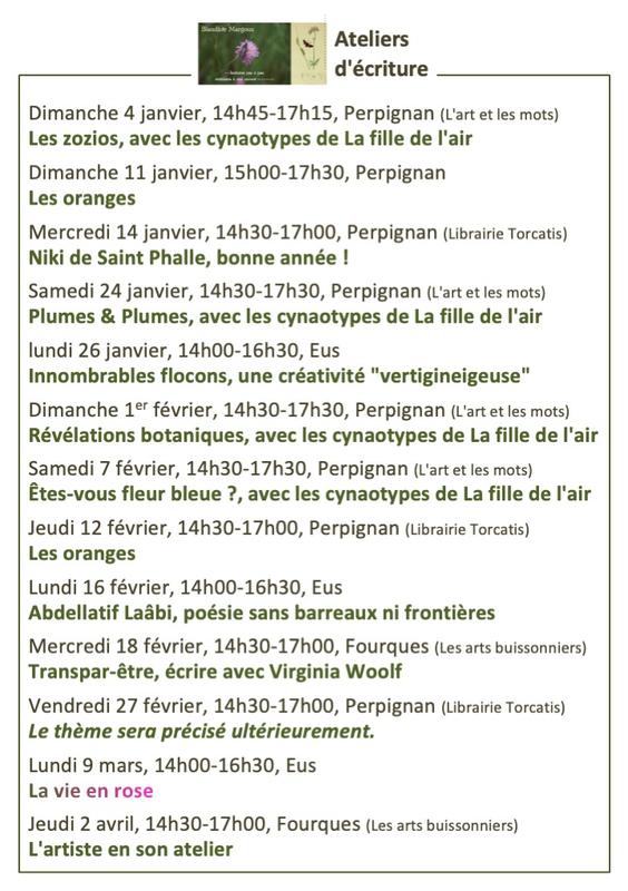 Innombrables flocons, une créativité &quot;vertigineigeuse&quot; • Atelier d'écriture