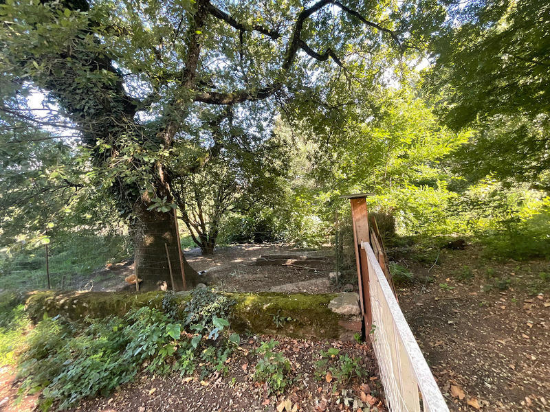 Propriété - 380 m² - 32 pièces