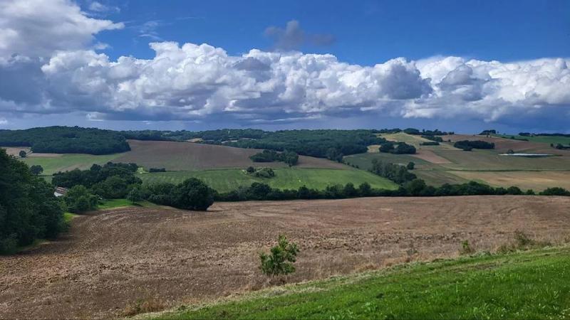 Terrain - 220 000 m²