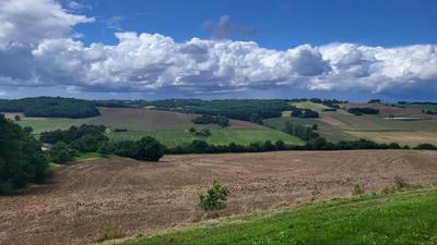 Terrain - 220 000 m²