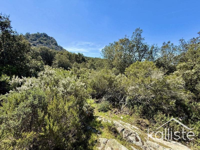 Terrain constructible - 2 400 m²