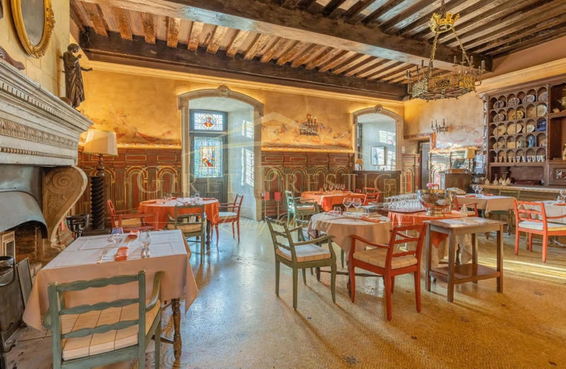 Château - 2 882 m² - 40 pièces