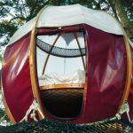 Parcabout Chien Noir