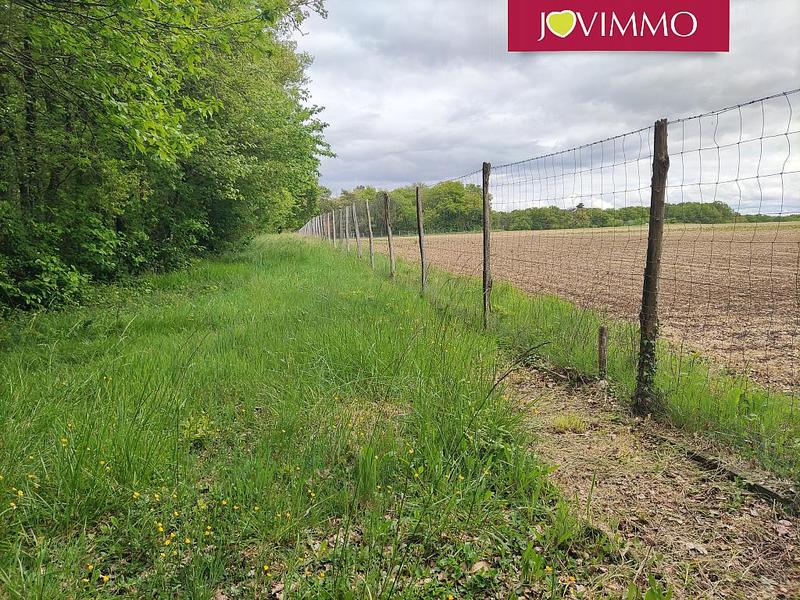 Terrain - 100 000 m²