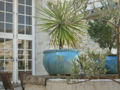 Villa - 230 m² - 7 pièces