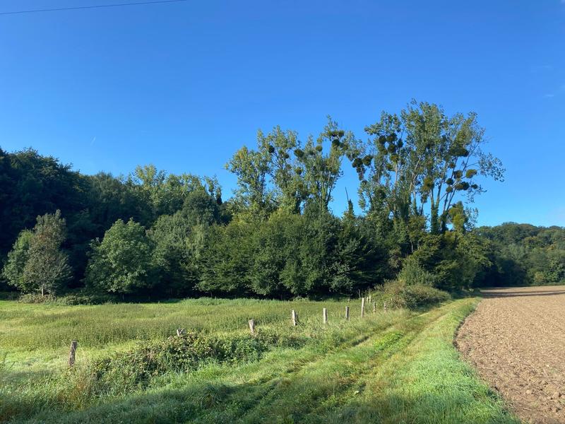 Terrain agricole - 1 889 m²