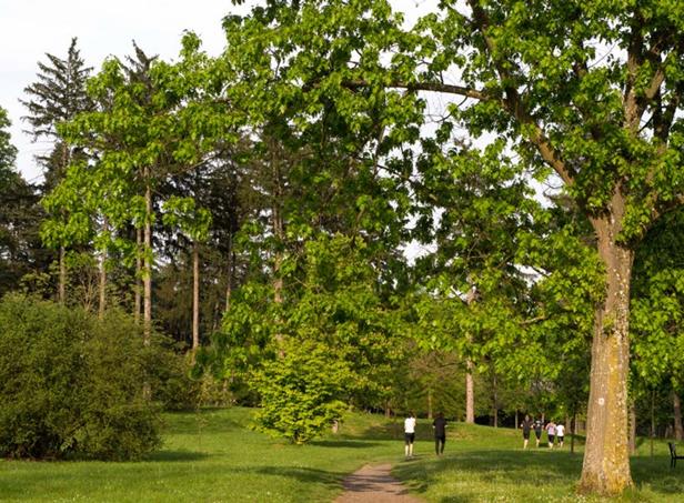 Appartement - 76 m² - 4 pièces