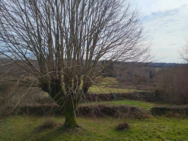 Manoir - 350 m² - 10 pièces