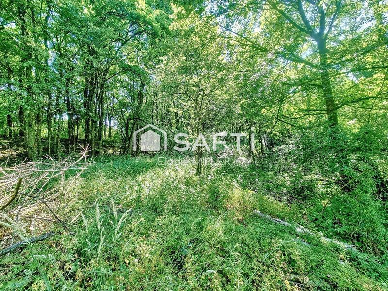 Terrain agricole - 9 918 m²