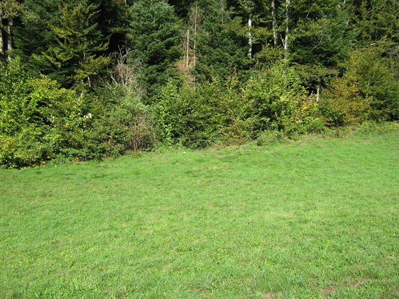 Terrain constructible - 800 m²