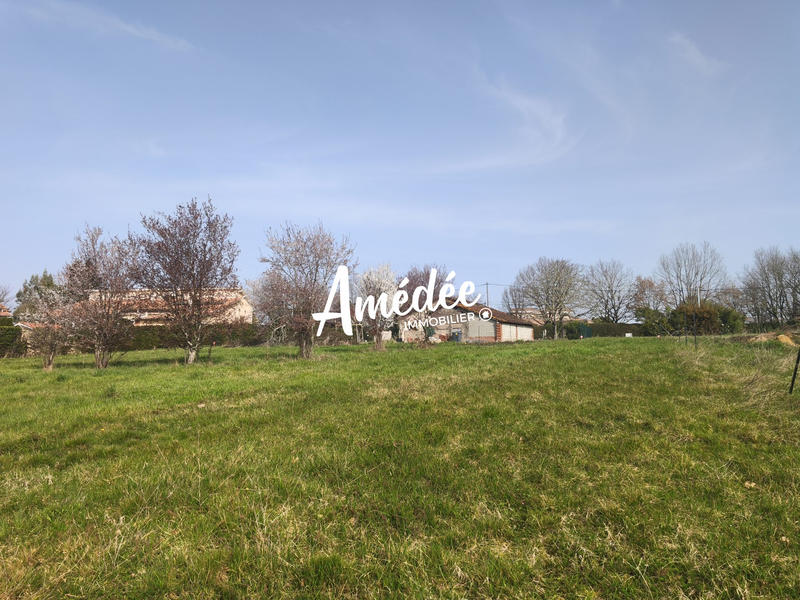 Terrain - 11 647 m²