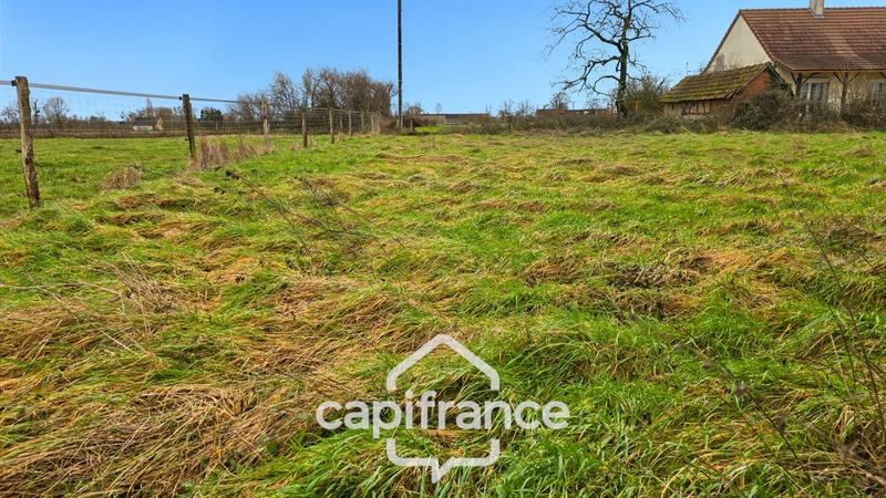 Terrain constructible - 1 294 m²