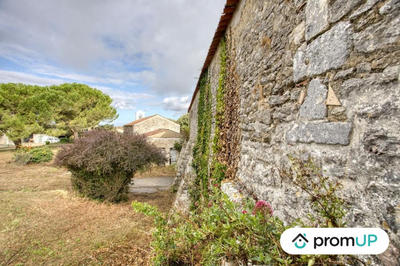 Maison ancienne - 490 m² - 2 pièces