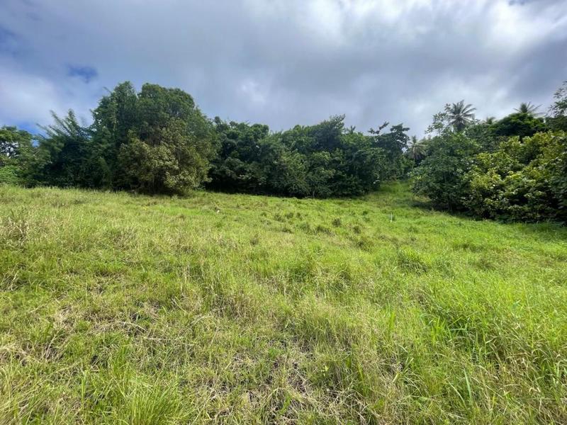 Terrain constructible - 2 400 m²