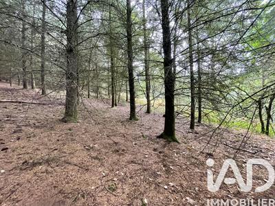 Terrain - 121 370 m²