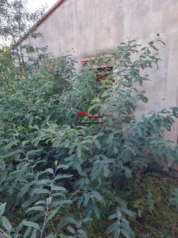 Terrain agricole - 5 730 m²