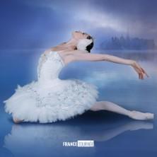 Le Lac des Cygnes - Swan Lake - Tournée