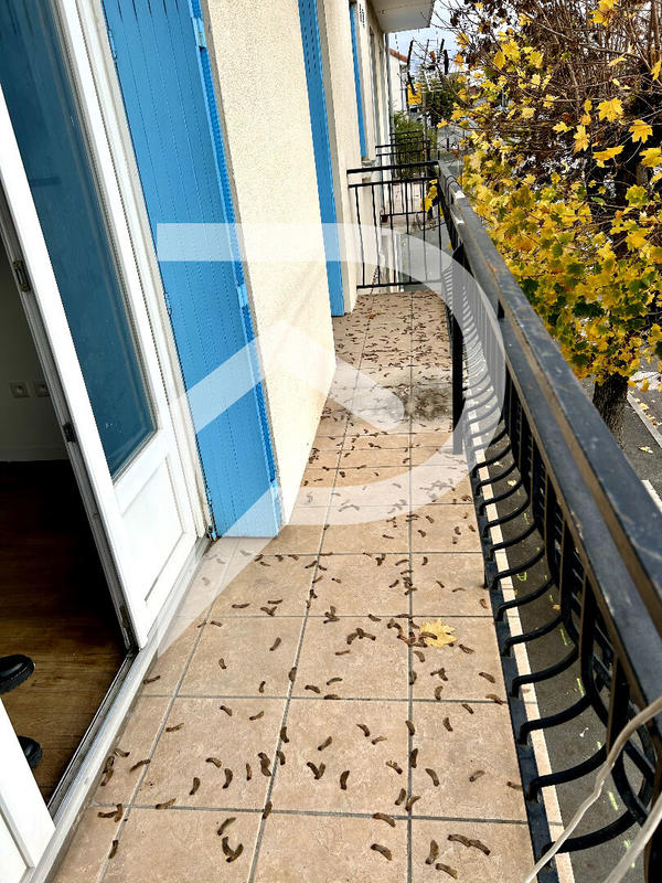 Appartement - 30 m² - 2 pièces