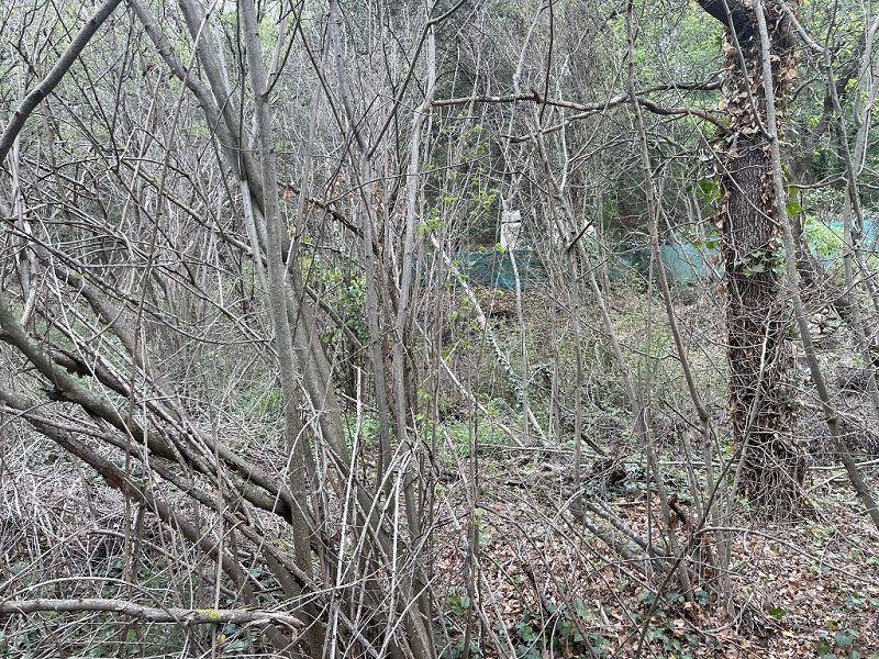 Terrain - 25 400 m²