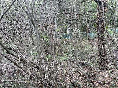 Terrain - 25 400 m²