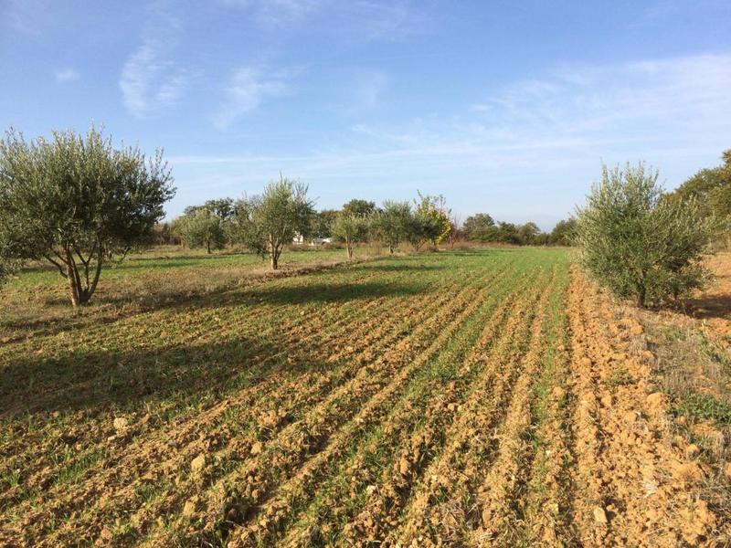 Terrain agricole - 27 000 m²