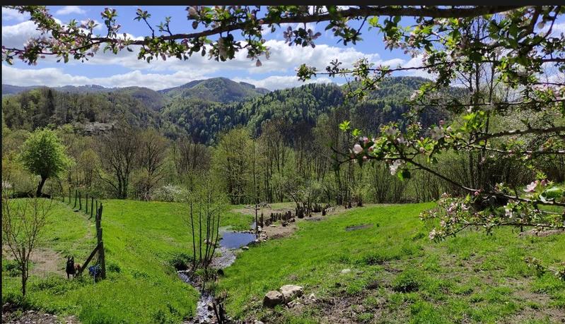 Maison - 182 m² - 11 pièces