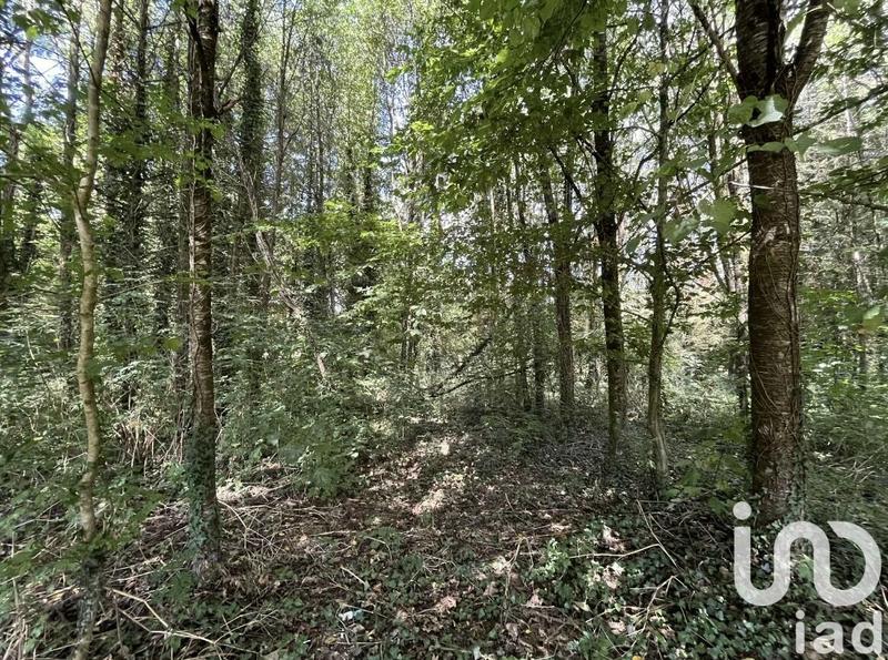 Maison de campagne - 91 m² - 5 pièces