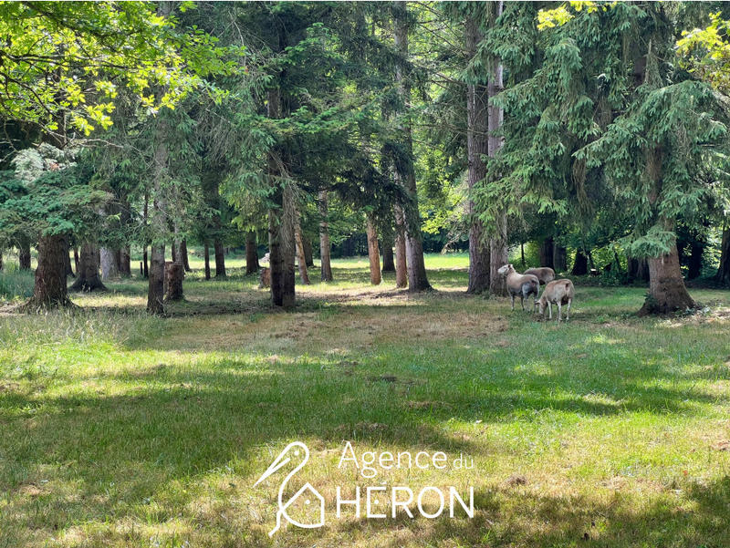 Maison - 304 m² - 10 pièces