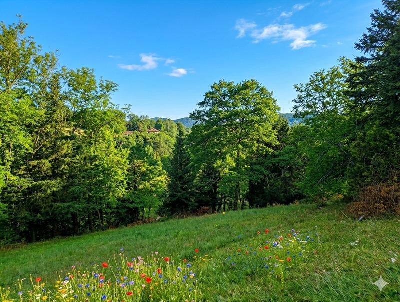 Terrain constructible - 905 m²