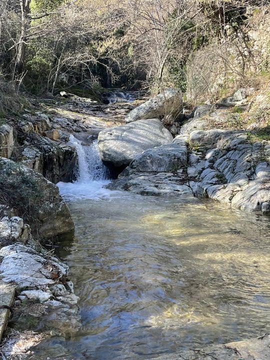 Mas - 237 m² - 8 pièces