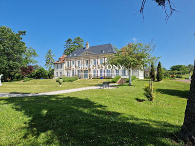 Château - 396 m² - 9 pièces