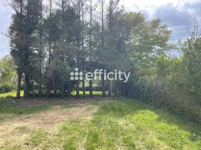 Terrain constructible - 650 m²